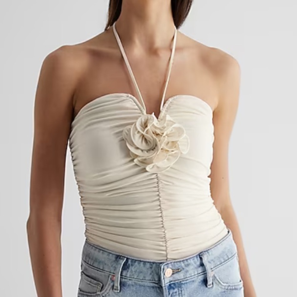 EXPRESS Floral Appliqué Bodysuit